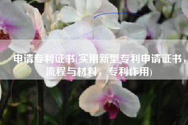 申请专利证书(实用新型专利申请证书，流程与材料，专利作用)