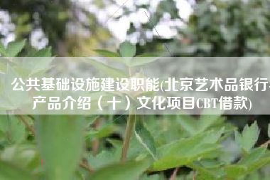 公共基础设施建设职能(北京艺术品银行-产品介绍（十）文化项目CBT借款)