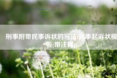 刑事附带民事诉状的写法(民事起诉状模板(带注释))