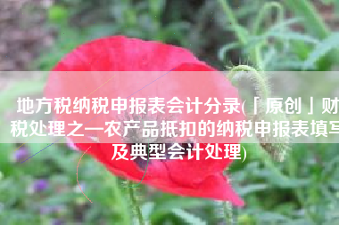 地方税纳税申报表会计分录(「原创」财税处理之—农产品抵扣的纳税申报表填写及典型会计处理)
