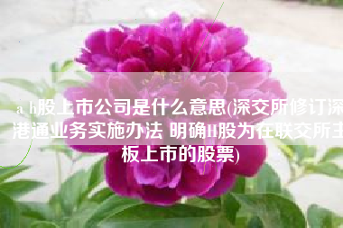 a h股上市公司是什么意思(深交所修订深港通业务实施办法 明确H股为在联交所主板上市的股票)