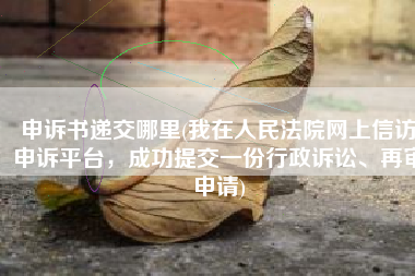 申诉书递交哪里(我在人民法院网上信访申诉平台，成功提交一份行政诉讼、再审申请)