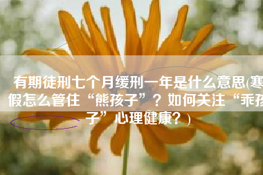 有期徒刑七个月缓刑一年是什么意思(寒假怎么管住“熊孩子”？如何关注“乖孩子”心理健康？)