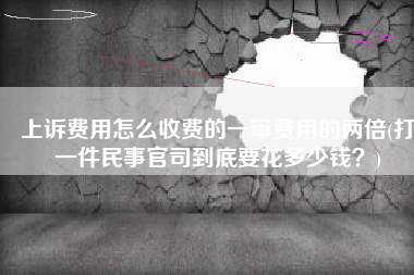 上诉费用怎么收费的一审费用的两倍(打一件民事官司到底要花多少钱？)