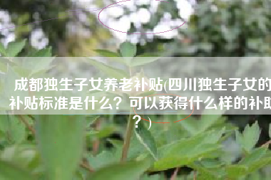 成都独生子女养老补贴(四川独生子女的补贴标准是什么？可以获得什么样的补助？)