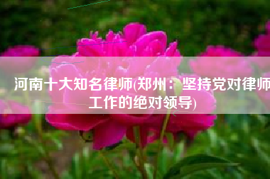 河南十大知名律师(郑州：坚持党对律师工作的绝对领导)