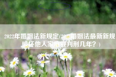 2022年婚姻法新规定(2022婚姻法最新新规：破坏他人家庭要判刑几年？)
