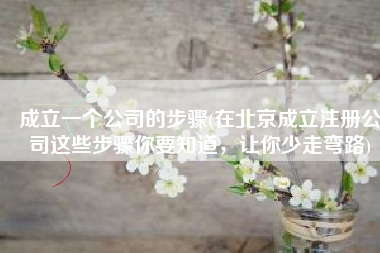 成立一个公司的步骤(在北京成立注册公司这些步骤你要知道，让你少走弯路)