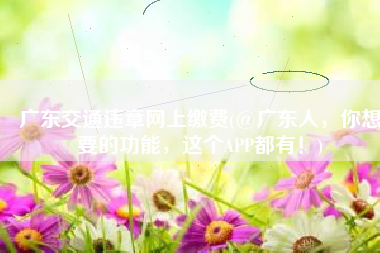 广东交通违章网上缴费(@广东人，你想要的功能，这个APP都有！)