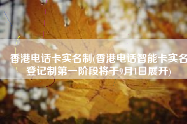 香港电话卡实名制(香港电话智能卡实名登记制第一阶段将于9月1日展开)