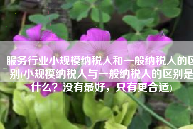服务行业小规模纳税人和一般纳税人的区别(小规模纳税人与一般纳税人的区别是什么？没有最好，只有更合适)