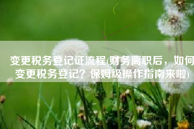 变更税务登记证流程(财务离职后，如何变更税务登记？保姆级操作指南来啦)