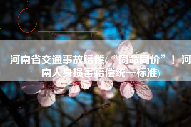 河南省交通事故赔偿(“同命同价”！河南人身损害赔偿统一标准)