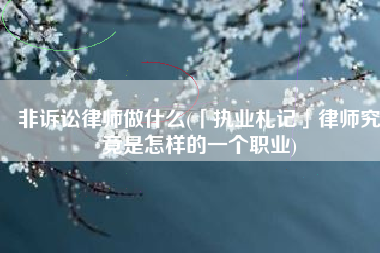 非诉讼律师做什么(「执业札记」律师究竟是怎样的一个职业)