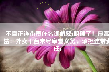 不真正连带责任名词解释(明确了！最高法：外卖平台未尽审查义务，承担连带责任)