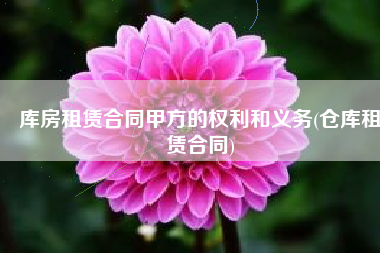 库房租赁合同甲方的权利和义务(仓库租赁合同)