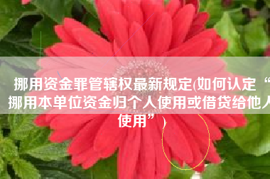 挪用资金罪管辖权最新规定(如何认定“挪用本单位资金归个人使用或借贷给他人使用”)