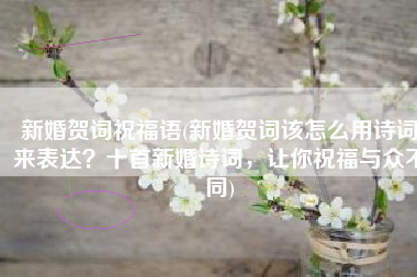 新婚贺词祝福语(新婚贺词该怎么用诗词来表达？十首新婚诗词，让你祝福与众不同)