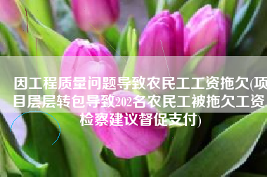 因工程质量问题导致农民工工资拖欠(项目层层转包导致202名农民工被拖欠工资，检察建议督促支付)