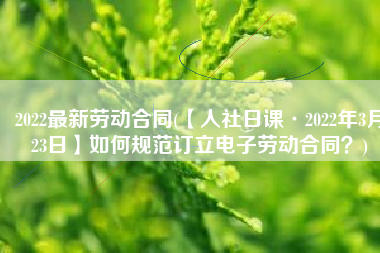2022最新劳动合同(【人社日课·2022年3月23日】如何规范订立电子劳动合同？)