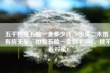 五千扣完五险一金多少钱(30出头，未婚，有房无车，扣完五险一金到手5000，找不着对象)