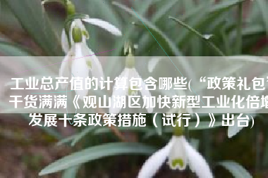 工业总产值的计算包含哪些(“政策礼包”干货满满《观山湖区加快新型工业化倍增发展十条政策措施（试行）》出台)