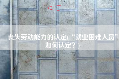 丧失劳动能力的认定(“就业困难人员”如何认定？)