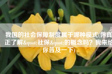 我国的社会保障制度属于哪种模式(你真正了解"社保"的概念吗？我来给你普及一下)