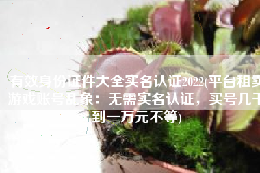 有效身份证件大全实名认证2022(平台租卖游戏账号乱象：无需实名认证，买号几千到一万元不等)