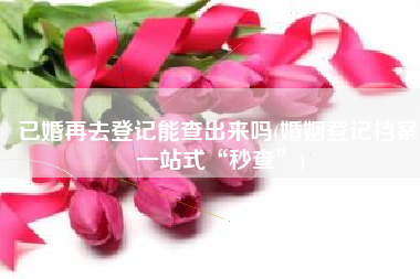 已婚再去登记能查出来吗(婚姻登记档案 一站式“秒查”)