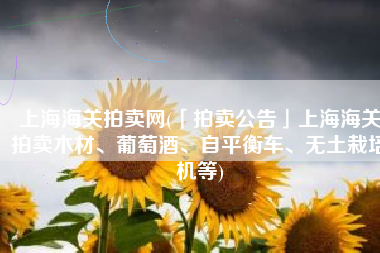 上海海关拍卖网(「拍卖公告」上海海关拍卖木材、葡萄酒、自平衡车、无土栽培机等)