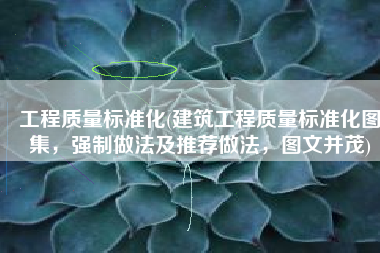 工程质量标准化(建筑工程质量标准化图集，强制做法及推荐做法，图文并茂)