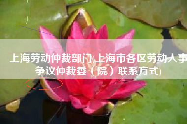 上海劳动仲裁部门(上海市各区劳动人事争议仲裁委（院）联系方式)