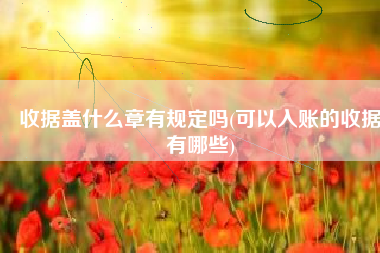 收据盖什么章有规定吗(可以入账的收据有哪些)