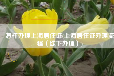 怎样办理上海居住证(上海居住证办理流程（线下办理）)