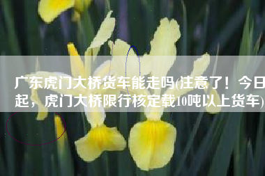 广东虎门大桥货车能走吗(注意了！今日起，虎门大桥限行核定载10吨以上货车)