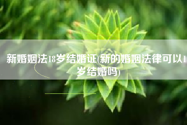 新婚姻法18岁结婚证(新的婚姻法律可以18岁结婚吗)