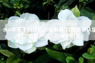 2010年关于自首的司法解释(自首情节认定的“宽进严出”与辩护启示)