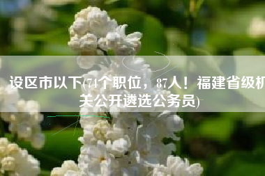 设区市以下(74个职位，87人！福建省级机关公开遴选公务员)