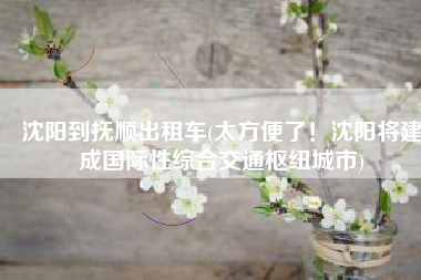 沈阳到抚顺出租车(太方便了！沈阳将建成国际性综合交通枢纽城市)