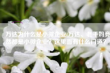 万达为什么是小微企业(万达、老干妈竟然都是小微企业？这里面有什么门道？)