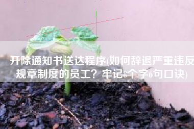 开除通知书送达程序(如何辞退严重违反规章制度的员工？牢记8个字6句口诀)