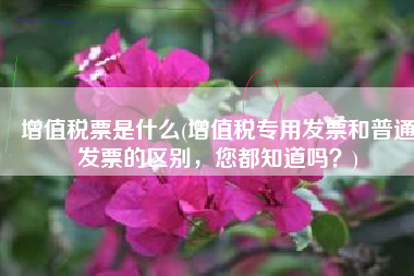 增值税票是什么(增值税专用发票和普通发票的区别，您都知道吗？)