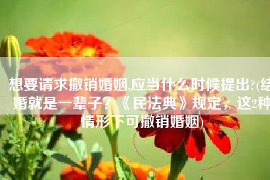 想要请求撤销婚姻,应当什么时候提出?(结婚就是一辈子？《民法典》规定，这2种情形下可撤销婚姻)