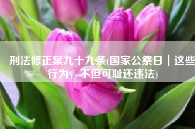 刑法修正案九十九条(国家公祭日｜这些行为，不但可耻还违法)