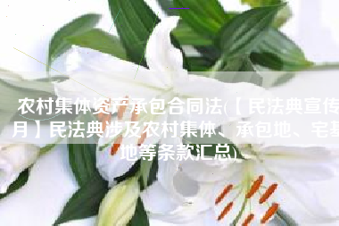农村集体资产承包合同法(【民法典宣传月】民法典涉及农村集体、承包地、宅基地等条款汇总)