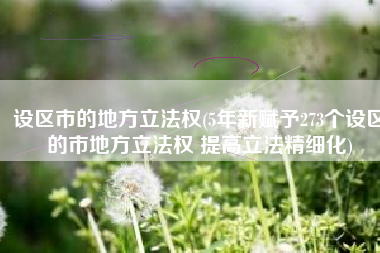 设区市的地方立法权(5年新赋予273个设区的市地方立法权 提高立法精细化)