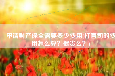 申请财产保全需要多少费用(打官司的费用怎么算？很贵么？)
