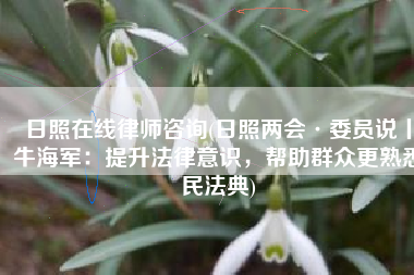 日照在线律师咨询(日照两会·委员说丨牛海军：提升法律意识，帮助群众更熟悉民法典)