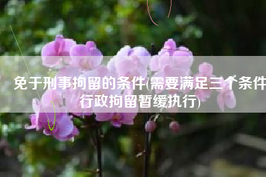 免于刑事拘留的条件(需要满足三个条件行政拘留暂缓执行)